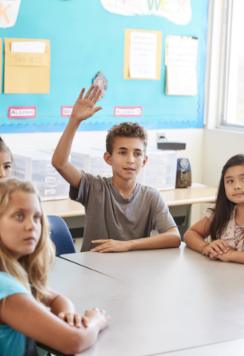 schoolboy-raising-hand-to-answer-in-elementary-sch-XACYWN2.png